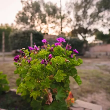 Oasi - Giardino E Parcheggio Privato Apartment Schifoni